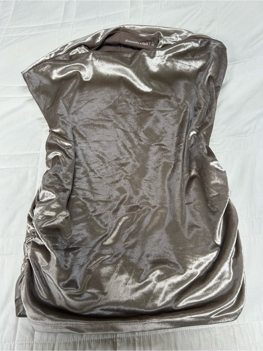 NWT Abercrombie & Fitch Metallic Taupe Blouse